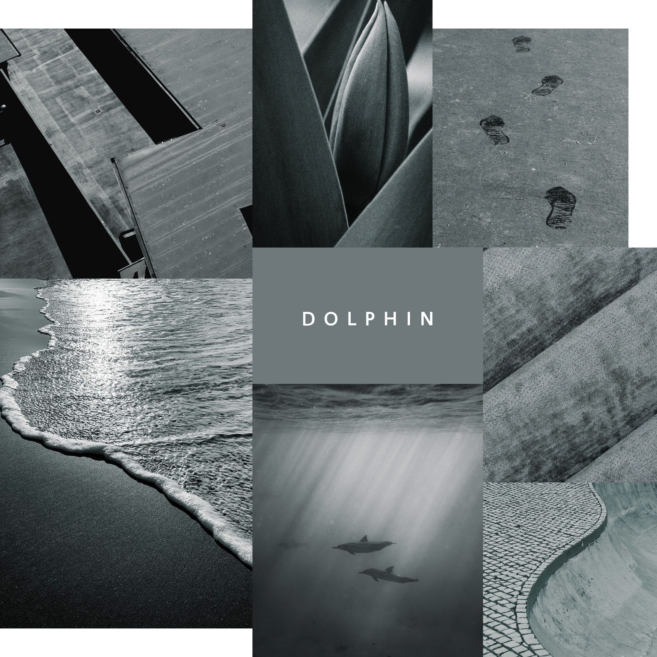 Dolphin Moodboard